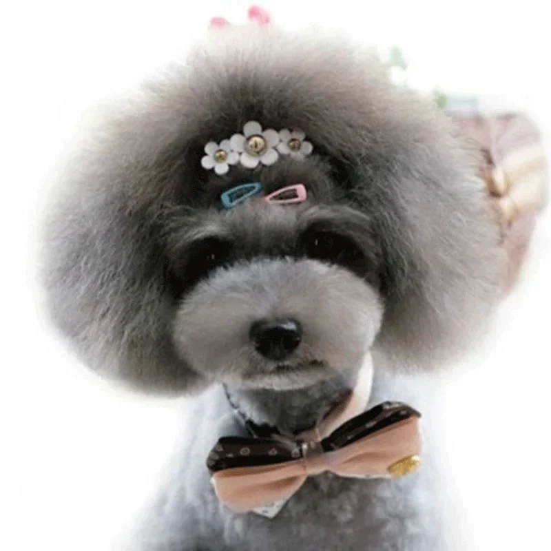 5pc/set Korean Mini 2cm Colorf - Vintage Fashion Dolls 评论和价格